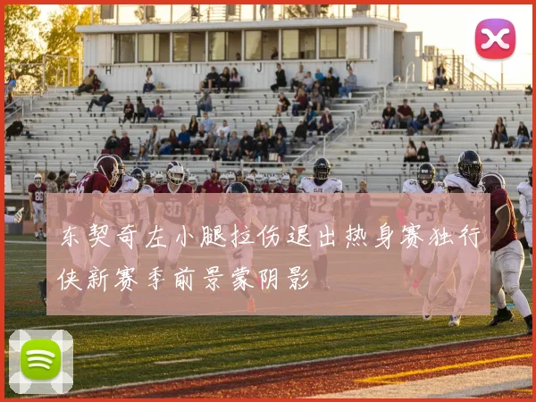 东契奇左小腿拉伤退出热身赛独行侠新赛季前景蒙阴影