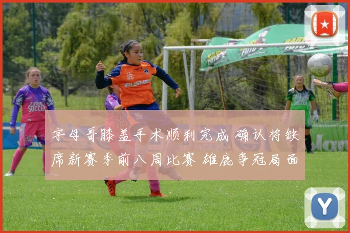 字母哥膝盖手术顺利完成 确认将缺席新赛季前八周比赛 雄鹿争冠局面骤然紧张