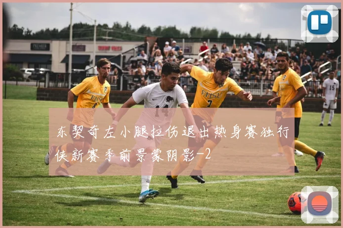 东契奇左小腿拉伤退出热身赛独行侠新赛季前景蒙阴影