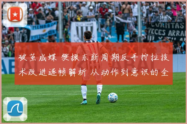 破茧成蝶 樊振东新周期反手拧拉技术改进逐帧解析 从动作到意识的全方位蜕变