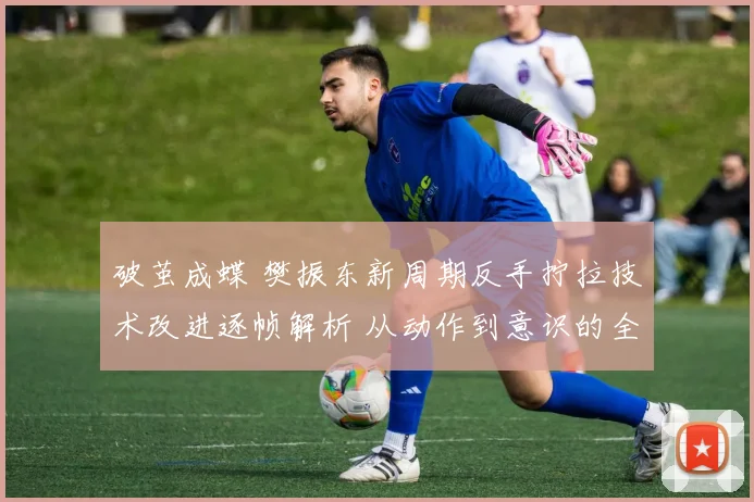 破茧成蝶 樊振东新周期反手拧拉技术改进逐帧解析 从动作到意识的全方位蜕变