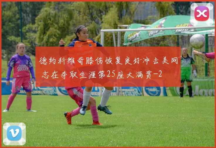 德约科维奇膝伤恢复良好冲击美网 志在夺取生涯第25座大满贯
