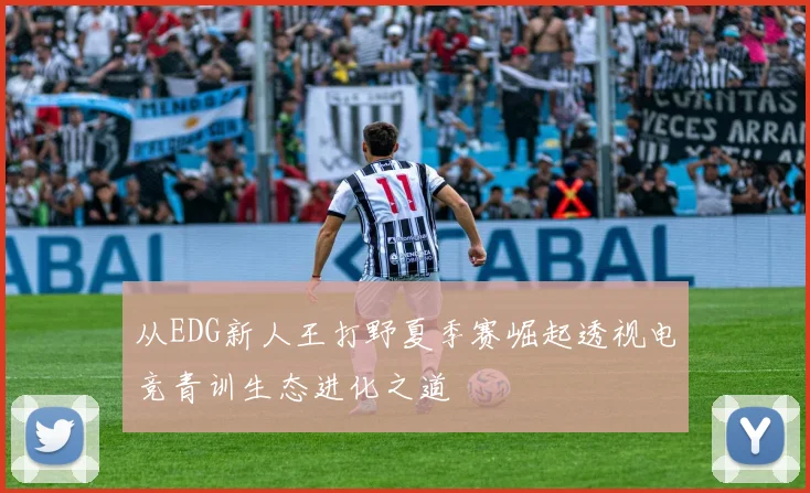 从EDG新人王打野夏季赛崛起透视电竞青训生态进化之道