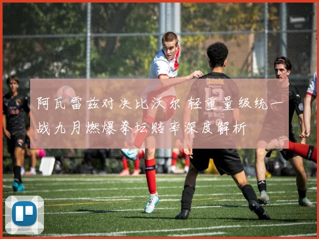 阿瓦雷兹对决比沃尔 轻重量级统一战九月燃爆拳坛赔率深度解析